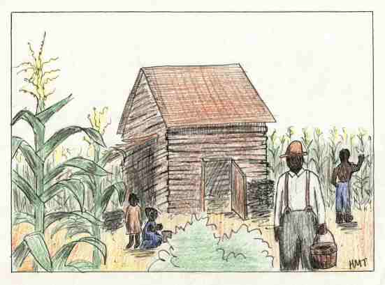 A Hot Day in the Cornfields